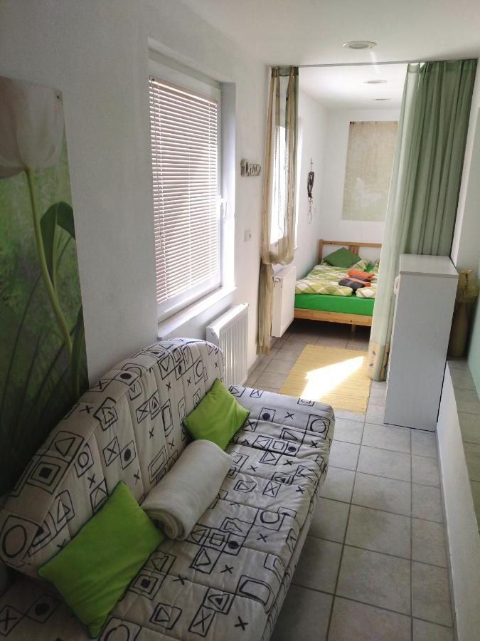 Apartma Peter1A Begunje na Gorenjskem Eksteriør bilde